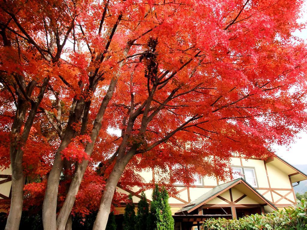 Lake Villa Kawaguchiko Fujikawaguchiko Exterior foto